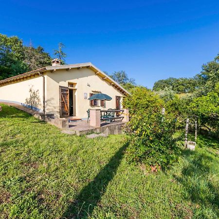 Holiday Home Grilli By Interhome Scansano Exteriér fotografie